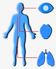 Clip Art, HD Png Download, Transparent PNG