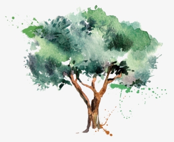 Olive Oil Tree - Anniversary Celebration 19 Year Anniversary, HD Png Download, Transparent PNG