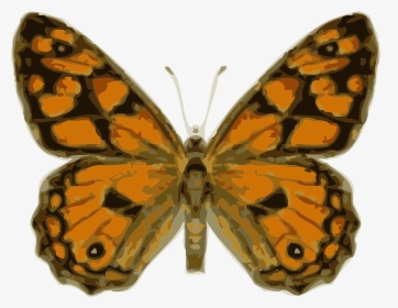 Royalty Free Images Butterfly, HD Png Download, Transparent PNG