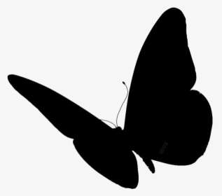 Butterfly Wings Png Image With Transparent Background - Butterfly Silhouette Side View, Png Download, Transparent PNG