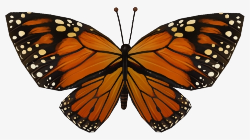 Transparent Butterfly Wing Png - Butterfly Wing Png File, Png Download, Transparent PNG