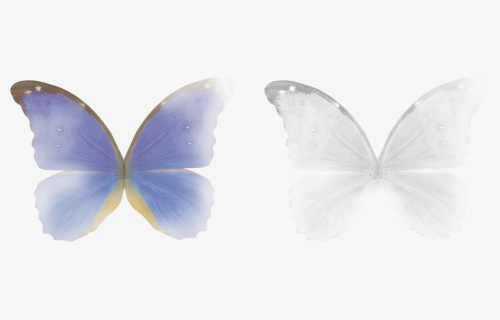 #fairy #butterfly #wings #magic #stickers #transparent - Butterfly Wings Overlay Photoshop, HD Png Download, Transparent PNG