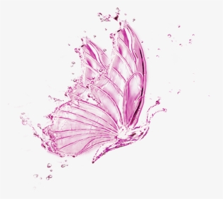 Butterfly Effect Png, Transparent Png, Transparent PNG