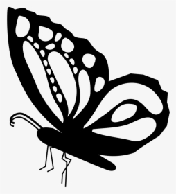 Download Side Butterfly Svg Hd Png Download Transparent Png Image Pngitem