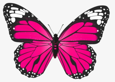 Pink Butterfly Clipart, HD Png Download, Transparent PNG