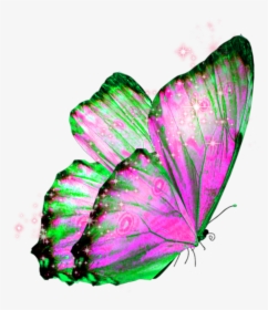 #butterfly #wings #butterflywings #fairy, HD Png Download, Transparent PNG
