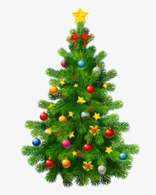 Christmas Tree,christmas Decoration,colorado Spruce,oregon - Transparent Background Christmas Gift Png, Png Download, Transparent PNG