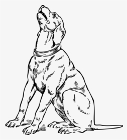 Dog Sitting Drawing At Getdrawings - Barking Of Dog Drawing, HD Png Download, Transparent PNG