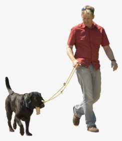 Dog Walking Pet Sitting Puppy Shock Transparent Background - Walking Dog Png, Png Download, Transparent PNG