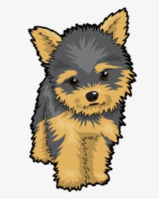 Puppy Clipart Yorkie - Yorkshire Terrier Cartoon Png, Transparent Png, Transparent PNG