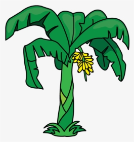 Palm-tree - Banana Tree Easy To Draw, HD Png Download, Transparent PNG