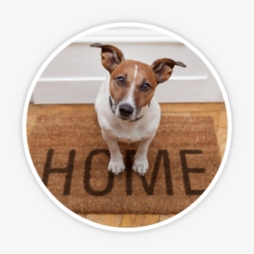Home Pet Sitting, HD Png Download, Transparent PNG