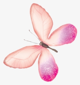 Butterfly Transparency And Translucency - Pink Butterfly Watercolor Backgrounds, HD Png Download, Transparent PNG