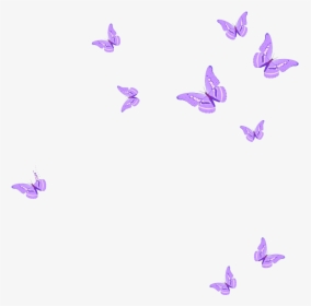 Pink Butterflies Png , Png Download - Pink Butterfly Png Clipart, Transparent Png, Transparent PNG