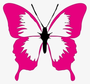 Black And White Butterfly Outline, HD Png Download, Transparent PNG