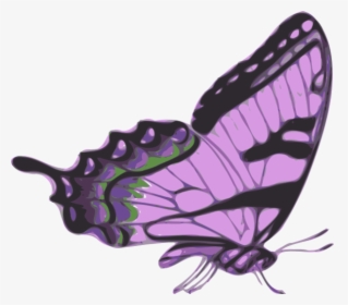 Free Free 248 Drawing Side Butterfly Svg SVG PNG EPS DXF File