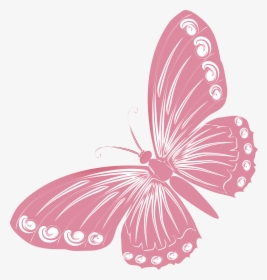Pink Butterfly Png - Butterfly Pictures For Drawing, Transparent Png, Transparent PNG