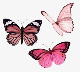Butterfly, Cyber, And Overlay Image - Pink Butterfly Aesthetic, HD Png Download, Transparent PNG
