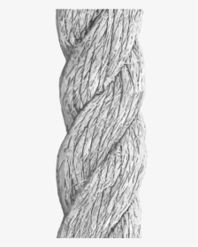 894 X 894 2 - Rope Drawing With Texture, HD Png Download, Transparent PNG