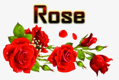 Rose Png Image File - Hd Rose Garden, Transparent Png, Transparent PNG