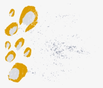 Flock, HD Png Download, Transparent PNG