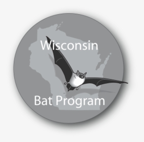 Wisconsin Bat Program Logo - Wisconsin Bat Program, HD Png Download, Transparent PNG