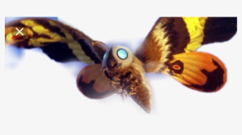 Godzilla Mothra , Png Download - Godzilla Monster Mothra, Transparent Png, Transparent PNG