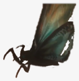#mothra - Brush-footed Butterfly, HD Png Download, Transparent PNG