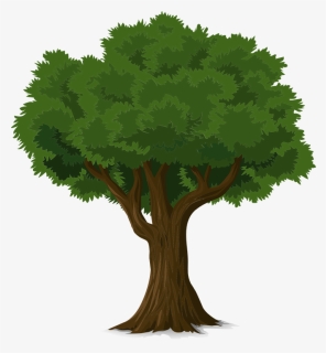 Tree, Forest, Trunk, Nature, Leaves, Branches, Organic - Tree Pixabay, HD Png Download, Transparent PNG