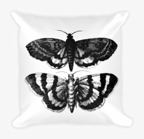 &lt;butterflies And Various Insects&gt;, HD Png Download, Transparent PNG