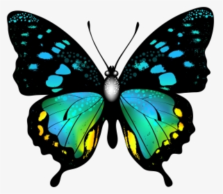 Blue Colorful Butterfly Png - Colorful Butterfly Clipart, Transparent Png, Transparent PNG