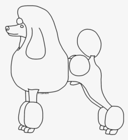 Poodle Drawing For Free Download - Standard Poodle, HD Png Download, Transparent PNG