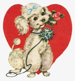 Love, Heart, Amorous, Dog, Puppy, Poodle, Rosa - Last Day Of February, HD Png Download, Transparent PNG