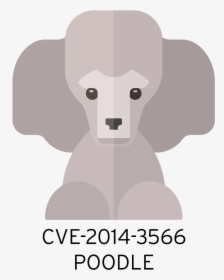 Mug Shot Of A Cute Poodle Labeled ‘cve 2014 3566 Poodle’ - Miniature Poodle, HD Png Download, Transparent PNG