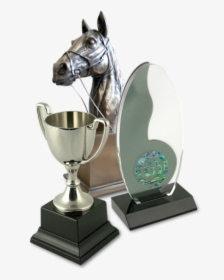 Trophy, HD Png Download, Transparent PNG