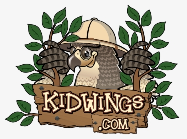 Kidwings, HD Png Download, Transparent PNG
