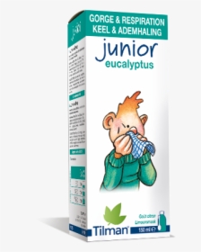 Eucalyptus Png, Transparent Png, Transparent PNG