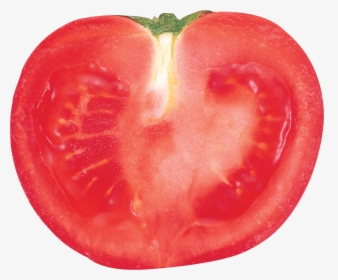 Transparent Free Tomato Clipart - Tomato Slice Transparent Background, HD Png Download, Transparent PNG