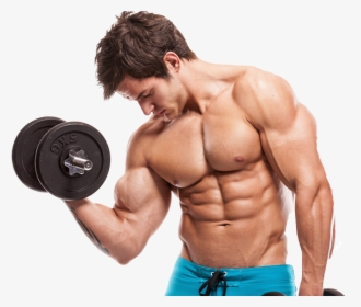 Bodybuilding Png Image Download - Do Muscles Grow, Transparent Png, Transparent PNG