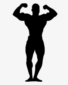 Female Bodybuilding Art Clip Art - Bodybuilding Silhouette Clip Art, HD Png Download, Transparent PNG