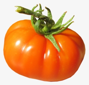 Tomato Organic Fresh Free Picture - Plum Tomato, HD Png Download, Transparent PNG