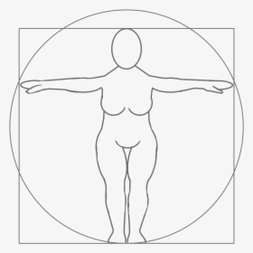 Susan Smith Logo Inspired By Leonardo Da Vinci S Vitruvian, HD Png Download, Transparent PNG