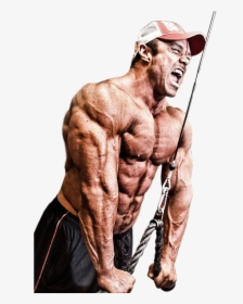 Bodybuilder Png, Transparent Png, Transparent PNG