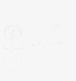 Vitruvian Man - Sketch, HD Png Download, Transparent PNG