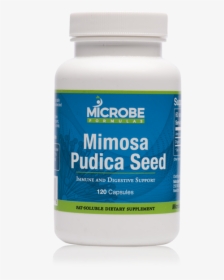 Mimosa Pudica Seed - Health, HD Png Download, Transparent PNG