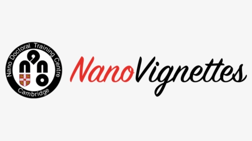 Nanovignettes Logo 2, HD Png Download, Transparent PNG