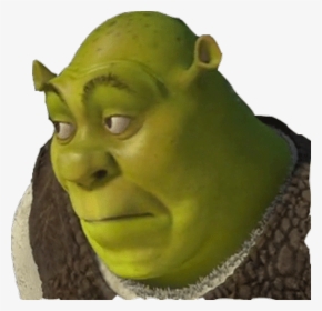 shrek #meme #cringy #mlg #wrong #freetoedit - Transparent Background Shrek  Png, Png Download - vhv