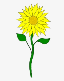 Yellow Cliparts Png August Sunflower - Sunflower Clipart, Transparent Png, Transparent PNG