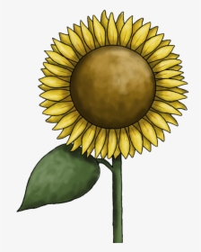 Sunflower Clipart Free Images - Clip Art, HD Png Download, Transparent PNG
