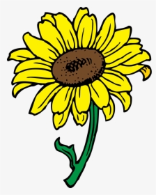 Sunflower - Sunflower Flower Clip Art, HD Png Download, Transparent PNG